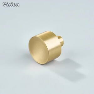 May include: A cylindrical brass cabinet knob with a rounded face and a small, cylindrical stem. The knob has a brushed finish and is set against a light blue background. The word "Vision" is in the upper left corner.