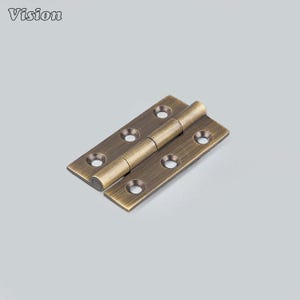May include: A bronze-coloured hinge with rounded edges and multiple screw holes. The hinge is in an open position, revealing the cylindrical pin. The word "Vision" is printed in white in the upper left corner.