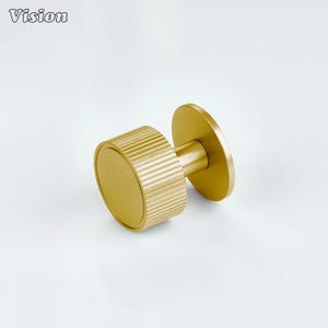 May include: A gold-colored cabinet knob with a cylindrical, ridged body and a circular base. The knob has a simple, modern design and is likely made of metal. The word "Vision" is in the top left corner.