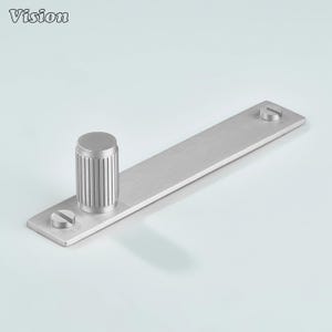 May include: A brushed metal door fitting with a cylindrical handle and a rectangular base. The handle has vertical grooves. Two screws secure the base. The word "Vision" is in the upper left corner.