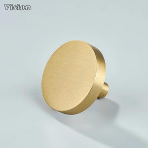May include: A gold-colored, oval-shaped cabinet knob with a brushed finish. The knob has a small, cylindrical stem extending from the back. The word "Vision" is in the upper left corner.