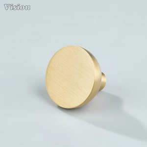 May include: A gold-coloured, round cabinet knob with a brushed finish. The knob has a cylindrical base and a large, flat, circular head. The word "Vision" is printed in the upper left corner.