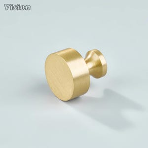 May include: A brass-coloured cabinet knob with a cylindrical body and a smaller, rounded base. The knob has a brushed metal finish and is set against a light background. The word "Vision" is printed in the upper left corner.