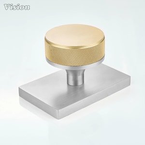 Pode incluir: Um puxador de móvel com topo circular em tom dourado com borda texturizada e serrilhada, montado numa base cilíndrica em tom prateado fixada a uma placa retangular de metal prateado escovado. A palavra Vision está impressa no canto superior esquerdo.