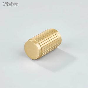 Op de afbeelding: Een cilindrische messing kastknop met een plat, cirkelvormig uiteinde en een geribbelde, gegroefde behuizing. De knop heeft een warme goudkleur en is ontworpen voor meubelbeslag. Het woord "Vision" staat in de linkerbovenhoek.