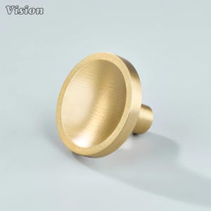 May include: A brass cabinet knob with a rounded, oval-shaped face and a cylindrical stem. The knob has a brushed finish and is designed for furniture. The word "Vision" is printed in the upper left corner.
