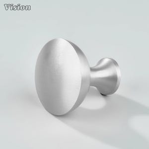 Op de afbeelding: Een geborstelde zilveren kastknop met een ovale voorkant en een cilindrische basis. Het woord "Vision" staat in de linkerbovenhoek. De knop is ontworpen voor meubels en woondecoratie.