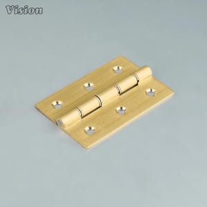 May include: A brass hinge with six screw holes and a cylindrical barrel. The hinge is rectangular and has a polished finish. The word "Vision" is in the upper left corner.