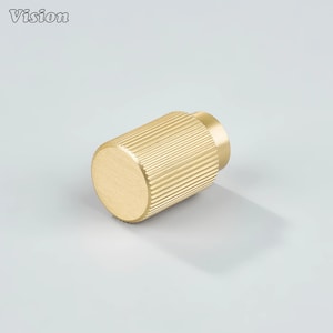 May include: A gold-coloured cabinet knob with a cylindrical shape and a ridged texture. The knob has a flat, circular end and a smaller, cylindrical base. The word "Vision" is in the upper left corner.