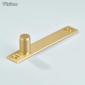 May include: A gold-coloured cabinet pull with a cylindrical handle and a rectangular base. The base has two screws for mounting. The word "Vision" is in the upper left corner.
