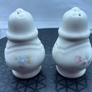May include: A pair of white ceramic salt and pepper shakers. Each shaker has a bulbous body with a floral design. One shaker features blue flowers, and the other has pink flowers. The shakers have a classic, elegant design.
