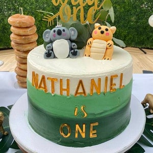 Cake Charms - Single Letters / Name Cake Charm / Custom Cake Charms / Acrylic Letters for Cake / Acrylic Cake Charm / Cake Topper