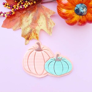 Op de afbeelding: Twee decoratieve pompoenen, één perzikkleurig en één turquoise, met een steel op elk. De pompoenen bevinden zich op een roze achtergrond.