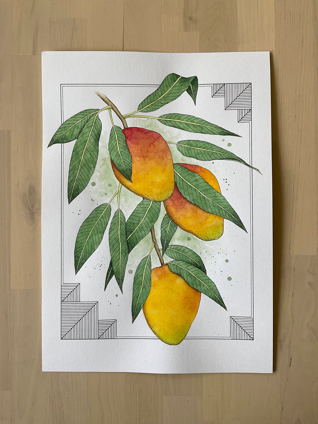 ORIGINAL DRAWING mangoes, Botanical Art, Mixed Media Artwork