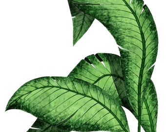 Tropical Plant Print, Tropical Leaves