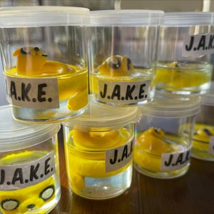 Proto-Jake