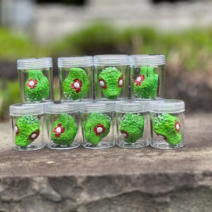 Può includere: Una collezione di piccoli barattoli di plastica trasparente, ognuno contenente una testa verde strutturata scolpita con accenti rossi e bianchi. I barattoli sono impilati su una superficie di pietra, con uno sfondo verde sfocato.