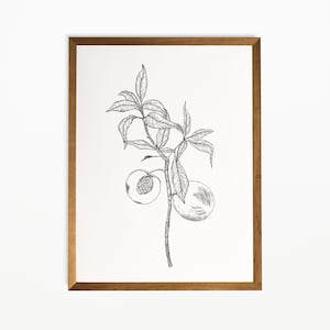 Minimalist Botanical Branch Sketch | Peach Branch Sketch | Home Decor | Nature Wall Art | Vintage Drawing