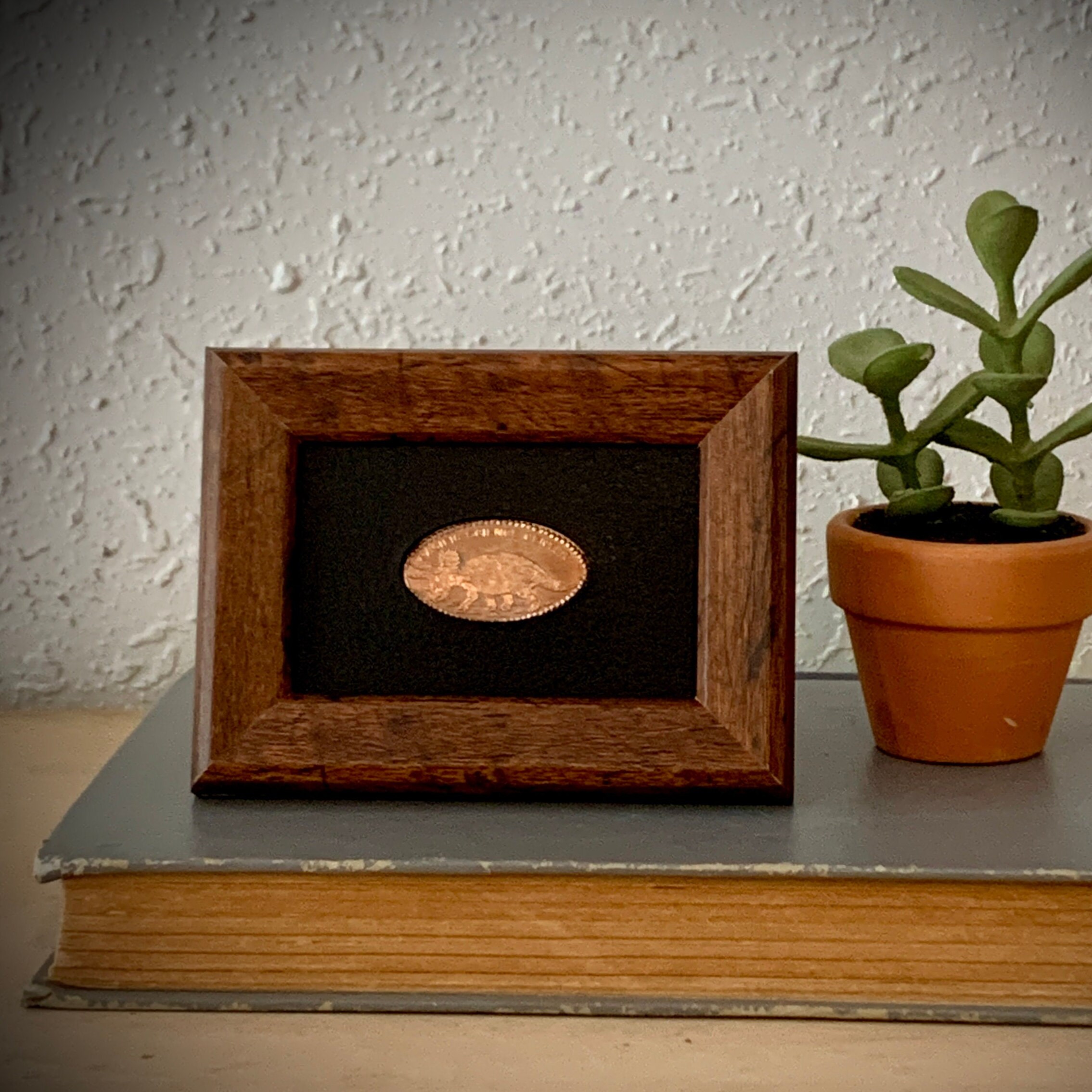 Souvenir Penny Display Frame Custom Smashed Penny Frame Embossed