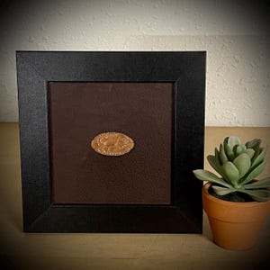 Pressed Penny Display | Squished Penny Souvenir | Smashed Penny Frame | Pressed Penny Holder | Elongated Pennies | Custom Penny Holder