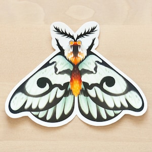 Hera Buck Moth Illustration Sticker, Black and White Moth sticker, Entomology bug art