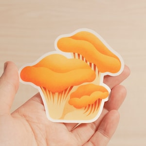 Adesivo de vinil de cogumelo chanterelle, adesivo de cogumelo, decalque de cogumelo