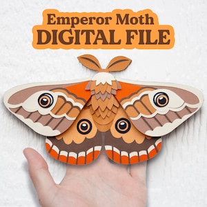 Papercraft 3D Moth | Paper Emperor Moth | Paper bug insect | DIY Template | Colorful Moth | Cricut Template | Digital SVG Files