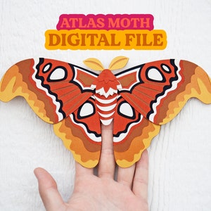 Papercraft 3D Moth | Paper Atlas Moth | Paper bug insect | DIY Template | Colorful Moth | Cricut Template | Digital SVG Files