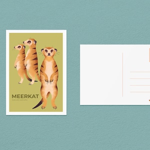 Erdmännchen Postkarte | Erdmännchen 4x6 Kunst Postkarte | Handgemachte Postkarte | Kunstdruck Postkarte | Zoo Postkarte und Umschlag | Tier Postkarte