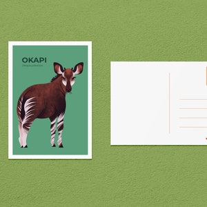 Postal de Okapi / Postal de arte de Okapi 4x6 / Postal hecha a mano / Postal de impresión de arte / Postal y sobre del zoológico / Postal de animales
