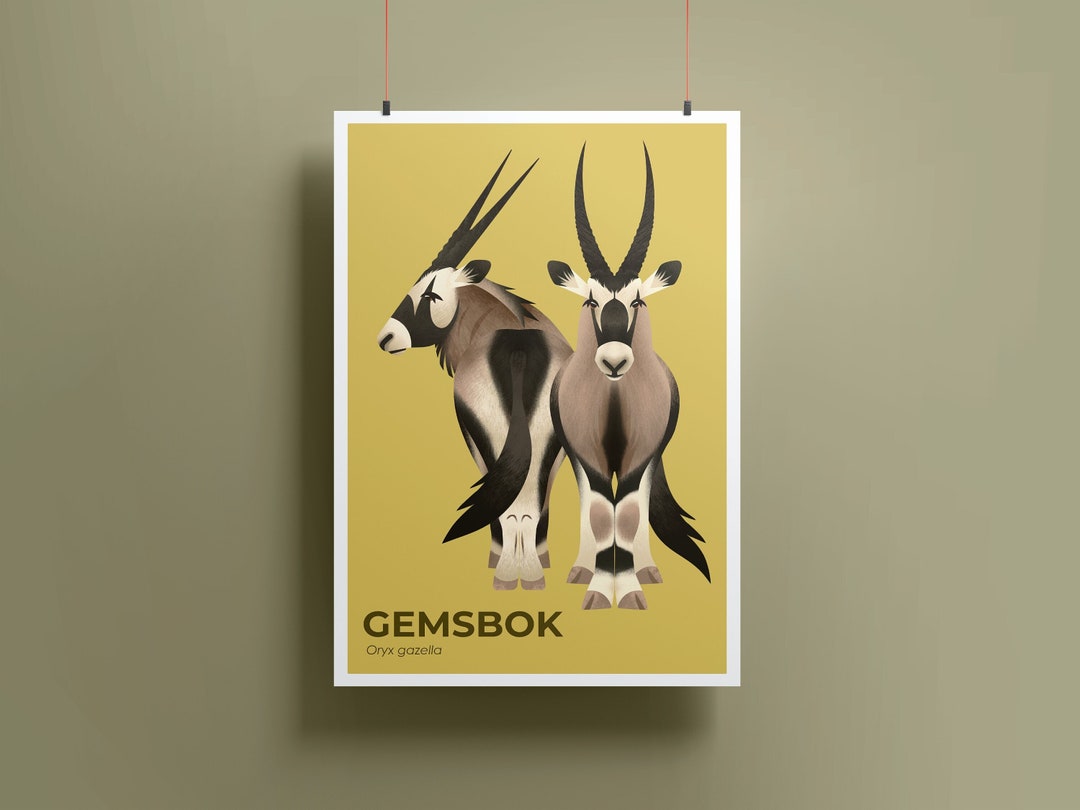 Gemsbok Animal Kingdom Art Print, Animal Illustration, Zoo Animal Art