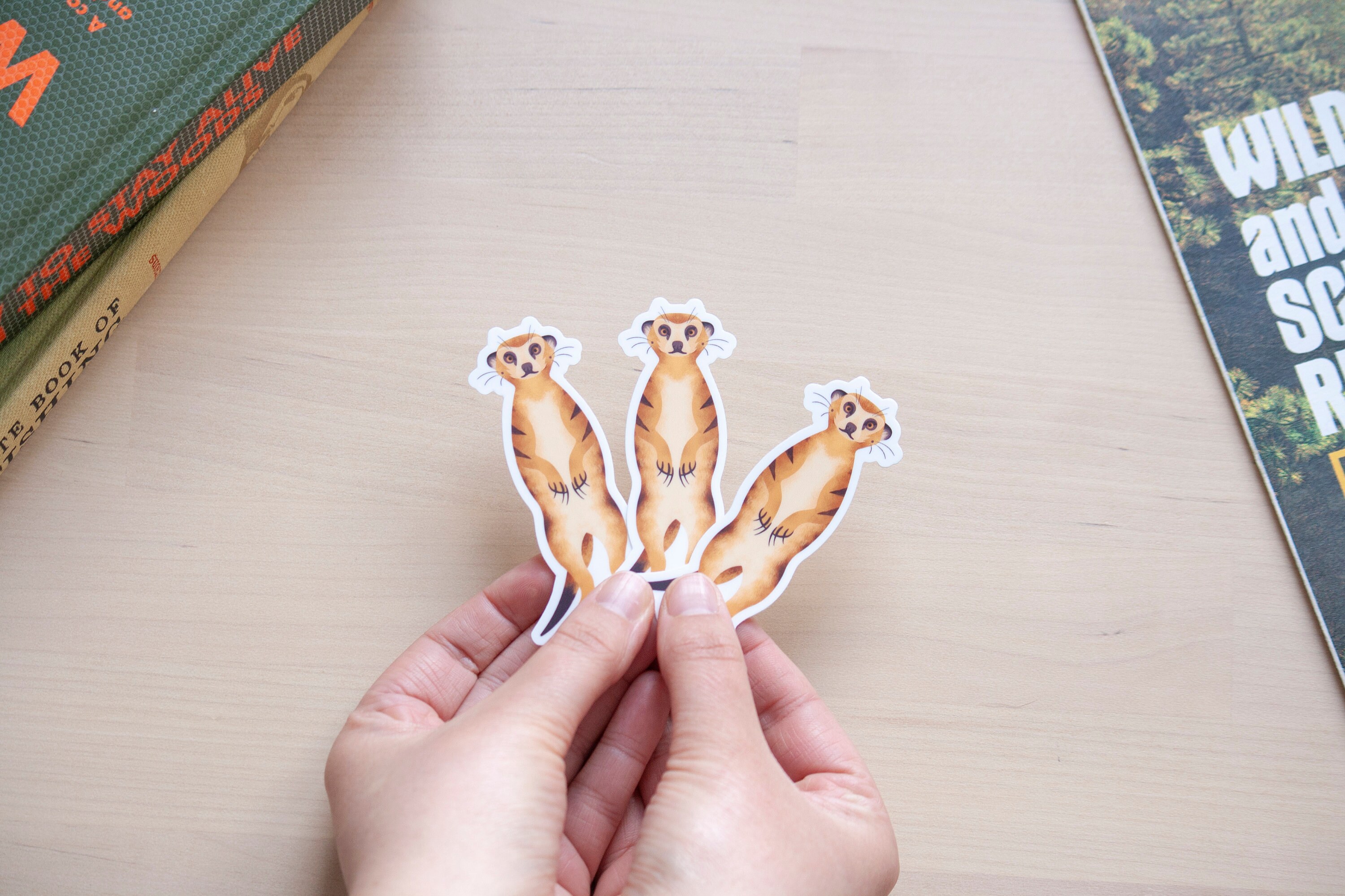 Muskrat Sticker Meerkat Vinyl Sticker | Meerkat Art Sticker | Colorful Animal Sticker ...
