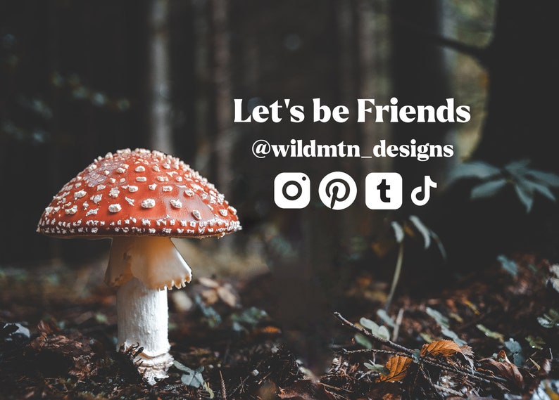 Puede incluir: Un hongo rojo y blanco con manchas blancas que crece en un bosque oscuro. El texto "Let's be Friends @wildmtn_designs" est&aacute; sobre el hongo. Los iconos de redes sociales para Instagram, Pinterest, Twitter y TikTok est&aacute;n debajo del texto.