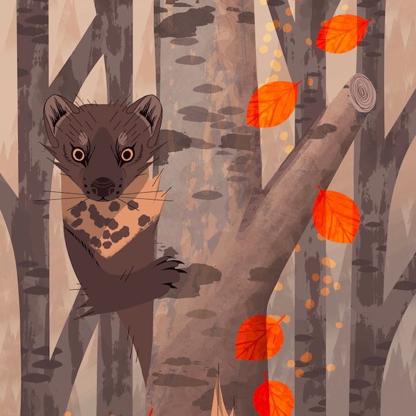 Pine Marten - Etsy
