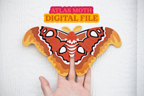 Papercraft 3D Moth Paper Atlas Moth Paper Bug Insect DIY | Etsy