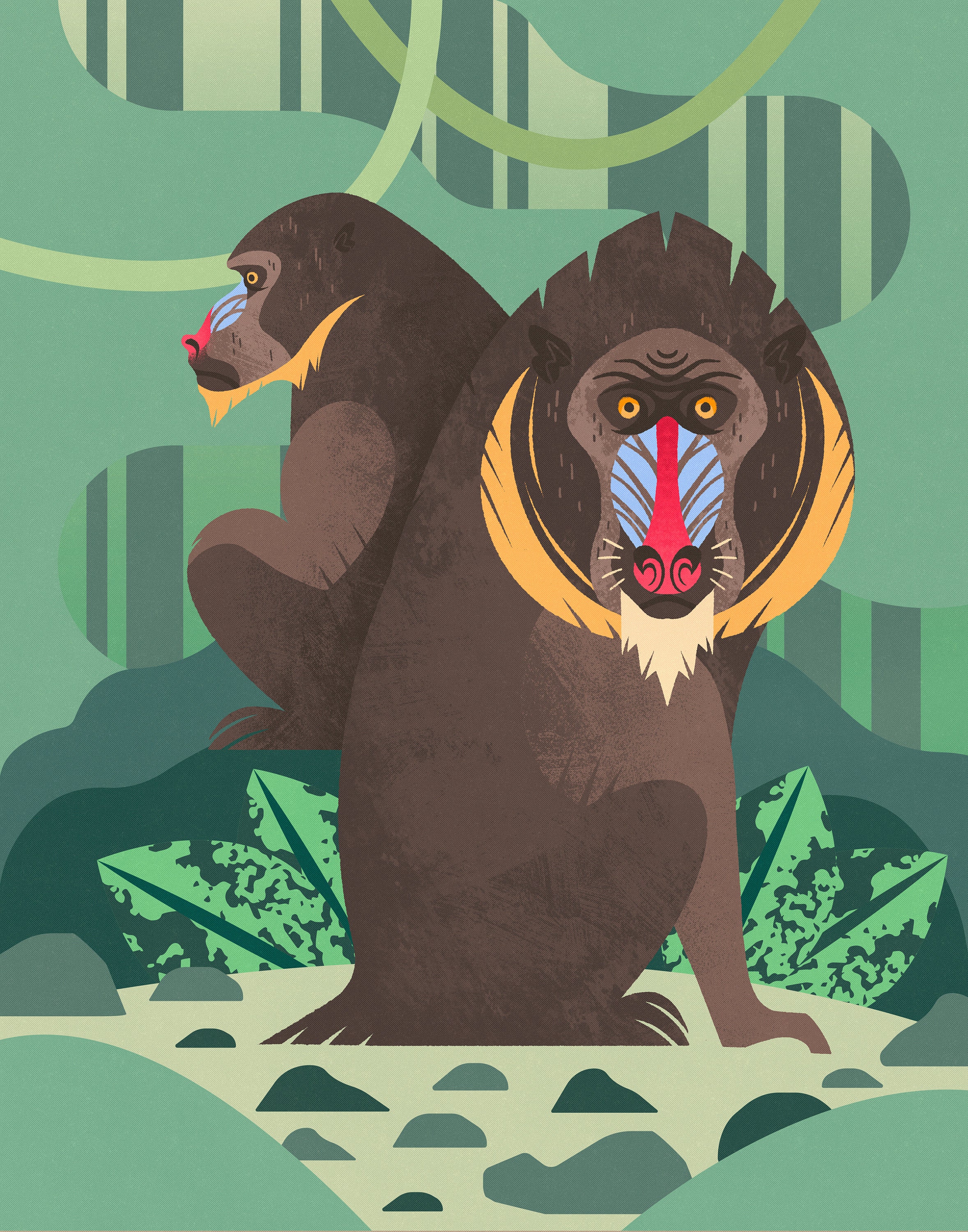 Mandrill Moment | Art Print | Wall Art | 8x10/ 11x14/ 13x19