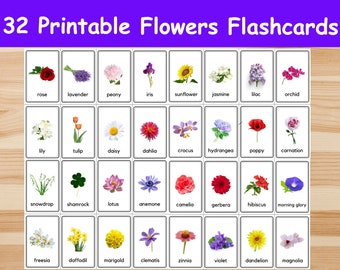 32 Flowers Flashcards / Image Cards for Kids, preschoolers. Nomenclature Cards. Printable Activity. Montessori.