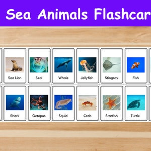 16 Sea Animals Flashcards / Image Cards for Kids, preschoolers. Nomenclature Cards. Printable Activity. Montessori.