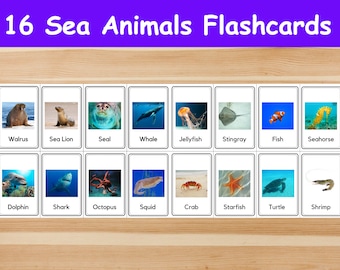 16 Sea Animals Flashcards / Image Cards for Kids, preschoolers. Nomenclature Cards. Printable Activity. Montessori.