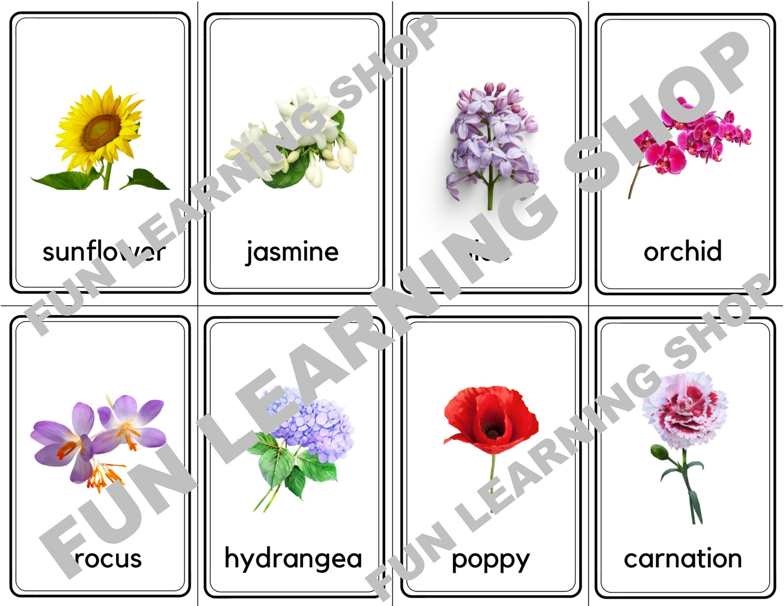 32 Flowers Flashcards / Image Cards for Kids, Preschoolers