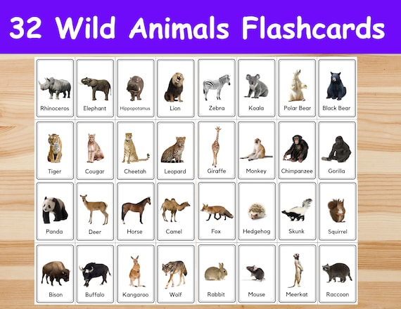 32 Wild Animals Flashcards / Image Cards for Kids. Nomenclature Cards. PDF Printable. Montessori. preschool