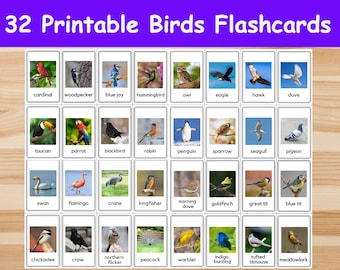 32 Birds Flashcards / Image Cards for Kids, preschoolers. Nomenclature Cards. Printable Activity. Montessori.