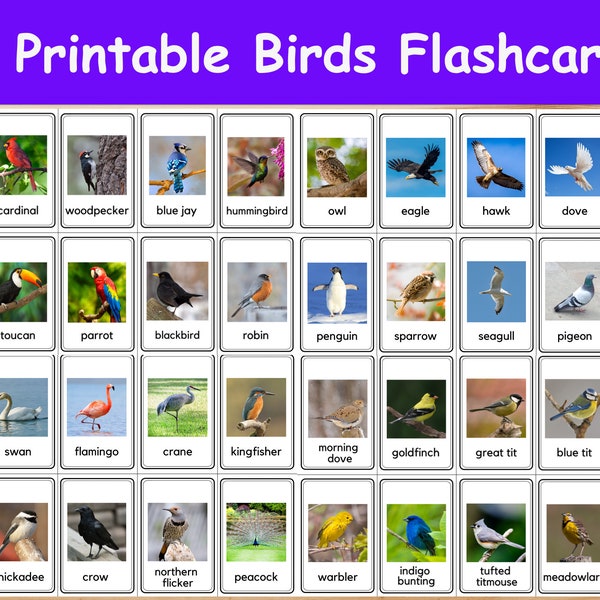 32 Birds Flashcards / Image Cards for Kids, preschoolers. Nomenclature Cards. Printable Activity. Montessori.