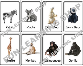 32 Wild Animals Flashcards / Image Cards for Kids. Nomenclature