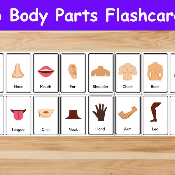 16 Body Parts Flashcards / Image Cards for Kids, preschoolers. Nomenclature Cards. Printable Activity. Montessori.