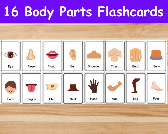 16 Farm Animals Flashcards / Image Cards for Kids, Preschoolers ...