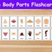16 Body Parts Flashcards / Image Cards for Kids, Preschoolers ...