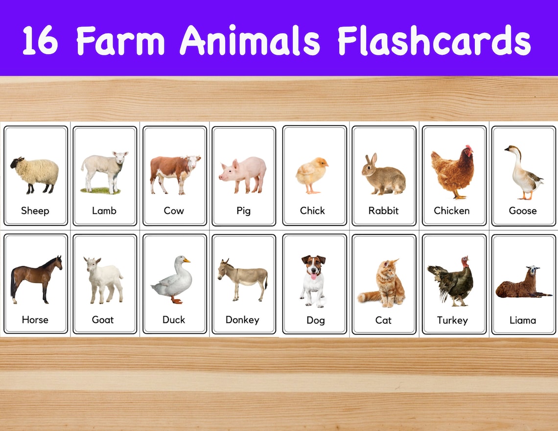 16 Farm Animals Flashcards / Image Cards for Kids Etsy