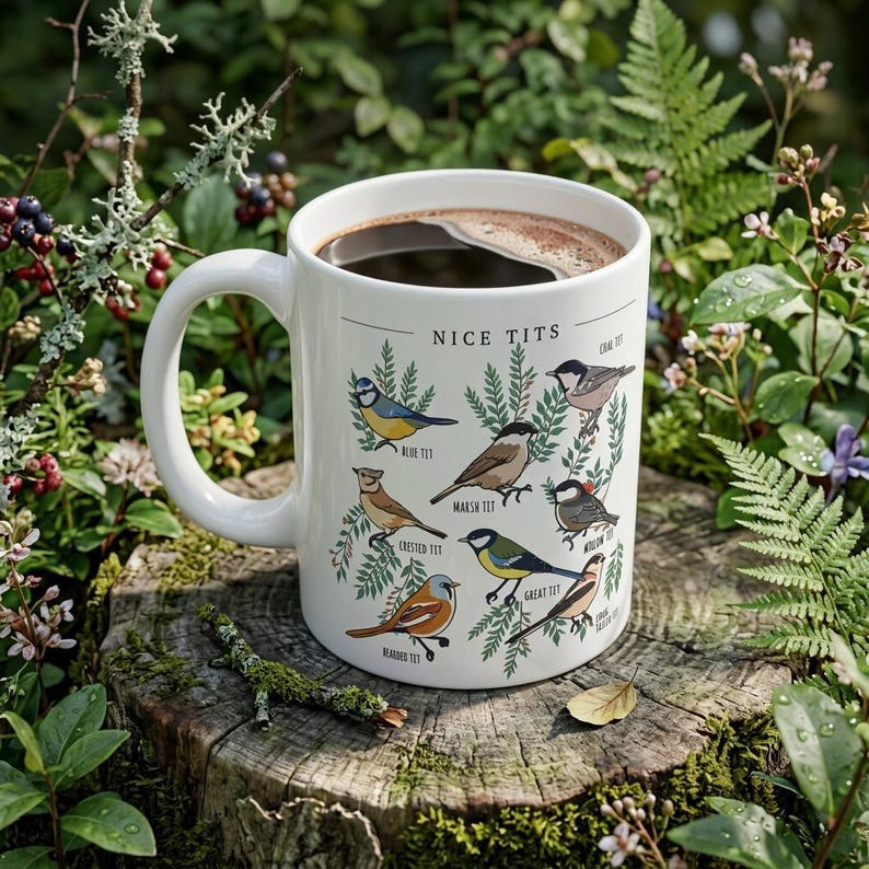 Nice Tits Mug, Funny Bird Mug, Birdwatcher Gift, Blue Tit Great Tit Cup, Bird Lover Gift, Funny Nature Mug, 11oz 15oz Coffee Mug image 3