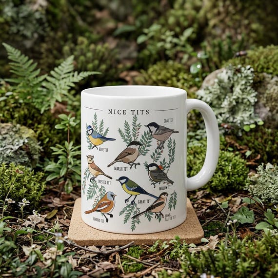 Nice Tits Mug, Funny Bird Mug, Birdwatcher Gift, Blue Tit Great Tit Cup, Bird Lover Gift, Funny Nature Mug, 11oz 15oz Coffee Mug